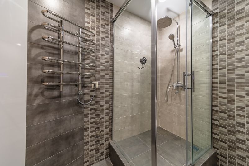 Stylish Frameless Shower